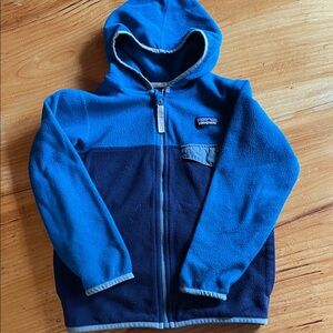 Patagonia Micro D Hoodie